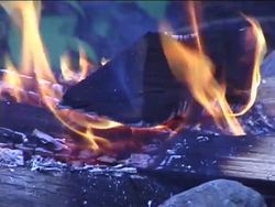 Sustainability and Natural Resources: Renewable and Nonrenewable Natural Resources Instructional Video