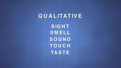 Making Careful Observations (Recording and Analyzing) Instructional Video