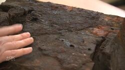 This researcher is working to learn the story behind the shipwreck in Cape Ray News Clip