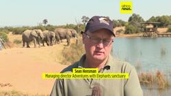 South African reserve lets visitors 'meet' elephants News Clip