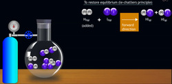 Effect of concentration change on equilibrium Instructional Video