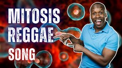 Mitosis Reggae Song - Cell Division, but Actually FUN! Instructional Video