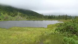 Ponds, swamps and lush greenery surrounding Lake Rausu in the Shiretoko National Park, Hokkaido, Japan Stock Footage