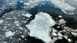 2027: the year with no sea-ice? News Clip