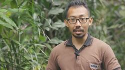 What Is The Big Difference Between Pangolins and Armadillos? Instructional Video