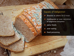 Disorders of the Digestive System Instructional Video