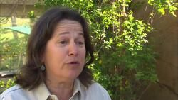 New Friends For This Adorable Lion Cub! Instructional Video