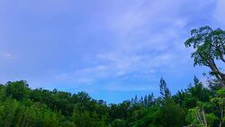 Tranquil park. Stock Footage