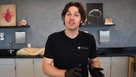 The Mysterious Function of the Kneecap