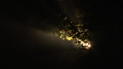 Annual light festival illuminates Prague News Clip