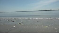 NYC to use drones to help rescue swimmers this summer News Clip