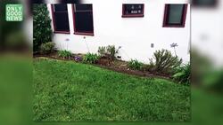 Girl Scouts Sell Cookies and now Build Basketball Courts! Instructional Video