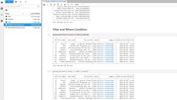 Apache Spark 3 for Data Engineering and Analytics with Python - Filter and Where Conditions Instructional Video