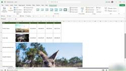 Microsoft Excel 2021365 - Beginner to Advanced - Exercise 12 - insert pictures and edit them Instructional Video