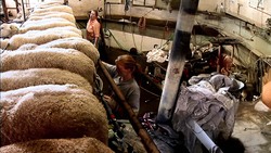 Ancient Heritage Dairy - The Art of Sheep Cheese Making Instructional Video