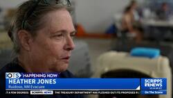 New Mexico communities take in animals evacuated during wildfires News Clip