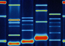 Gene Instructional Video