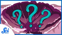 The Oldest Crater from a Meteorite…Isn’t a Crater after All? Instructional Video