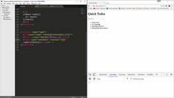 The Full Stack Web Development - Mark & Delete From Collection Instructional Video