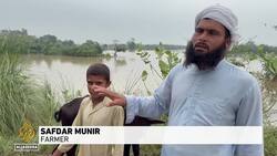 Pakistan flooding: Farmers survey extensive damage to their crops News Clip