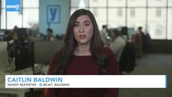 Ukraine Launches Investigation Into Possible Yovanovitch Surveillance News Clip