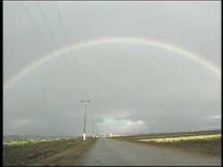 Photosynthesis and Plant Responses: Light and Photosynthesis Instructional Video