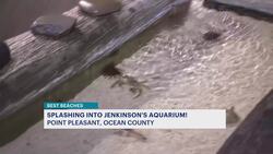 Best Beaches: We are kicking off the unofficial start to summer at Jenkinson's in Point Pleasant Beach News Clip
