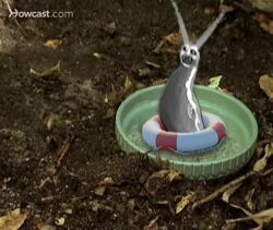 How to Get Rid of Garden Snails & Slugs Instructional Video