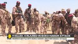 Nigeria: 9 killed, 4 injured in Boko Haram attack News Clip