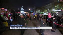 'Sparkling the Heart of Fordham' tree lighting held on Fordham Road News Clip