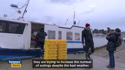 Dolphin conservation and fishermen's livelihoods in the Bay of Biscay: A difficult balance News Clip