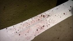 The Plant that Cures Malaria: The True Impact of Malaria in Uganda Instructional Video