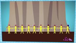 Meet the Redwoods: The World’s Tallest Trees Instructional Video