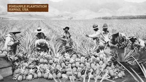 How Do We Produce Food? Crash Course Geography
