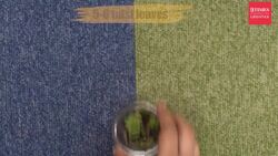 Low blood pressure got you down? Try these 4 home fixes! News Clip