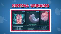 I WONDER - What Does The Urinary System Do?
 Me Pregunto - Que Hace El Sistema Urinario? Instructional Video