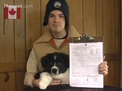How to Register a Dog with the CKC Instructional Video