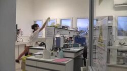 CLEAN : Reinforcements deployed to virus-hit Guiana News Clip