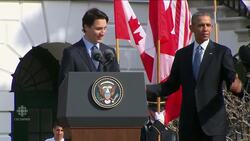 Highlights from the state visit News Clip