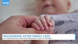Bill Proposes Paid Leave After Pregnancy Loss, IVF Failures News Clip