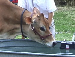 Impacto en la tierra: recapitulando Instructional Video