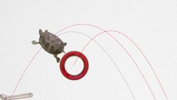 Center of Mass Introduction Instructional Video