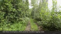Probe of deadly B.C. landslide raises concerns about logging roads News Clip
