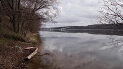 CLEAN : Risking jail and Church ire, Russian priests condemn Ukraine conflict News Clip