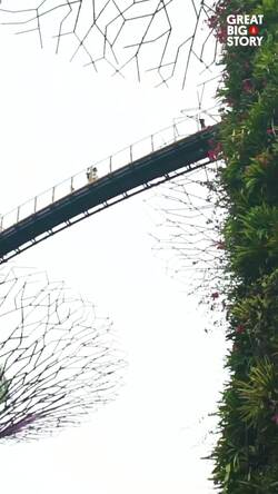Supertree Grove, where nature meets futurism in Singapore Instructional Video