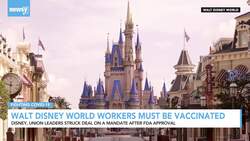 Walt Disney World Requiring Workers To Get Vaccinated News Clip