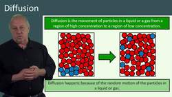 Diffusion: The Movement of Particles in Liquids and Gases Instructional Video