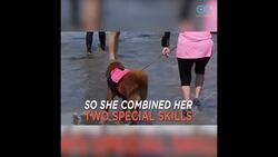 Famous Surfing Dog Rides The Waves To Help Others! - Daily Diversion Instructional Video