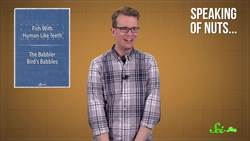 The Fish With Human Teeth Instructional Video