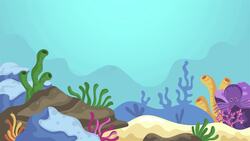 I WONDER - Why Does An Octopus Have Ink? Instructional Video